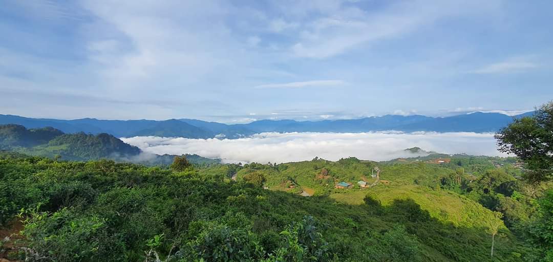 Văn Chấn vượt khó vươn lên khởi sắc