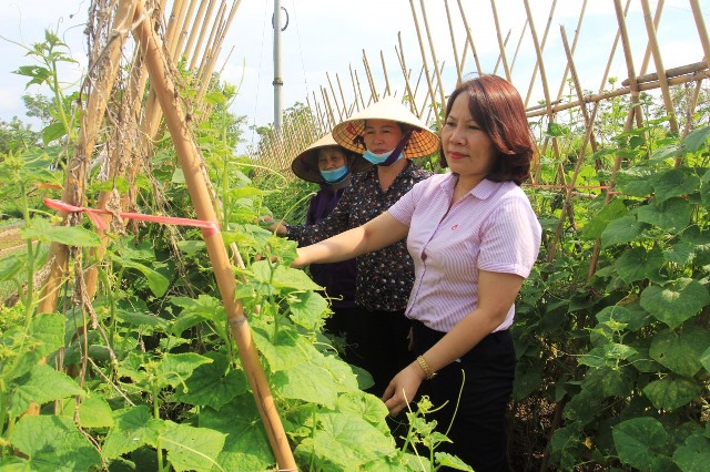 Hiệu quả chương trình tín dụng ưu đãi ở thị xã Phú Thọ