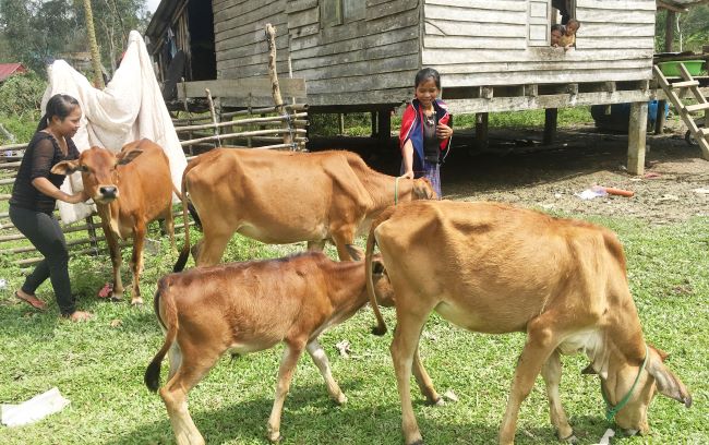 20 năm NHCSXH Bố Trạch đồng hành cùng người nghèo