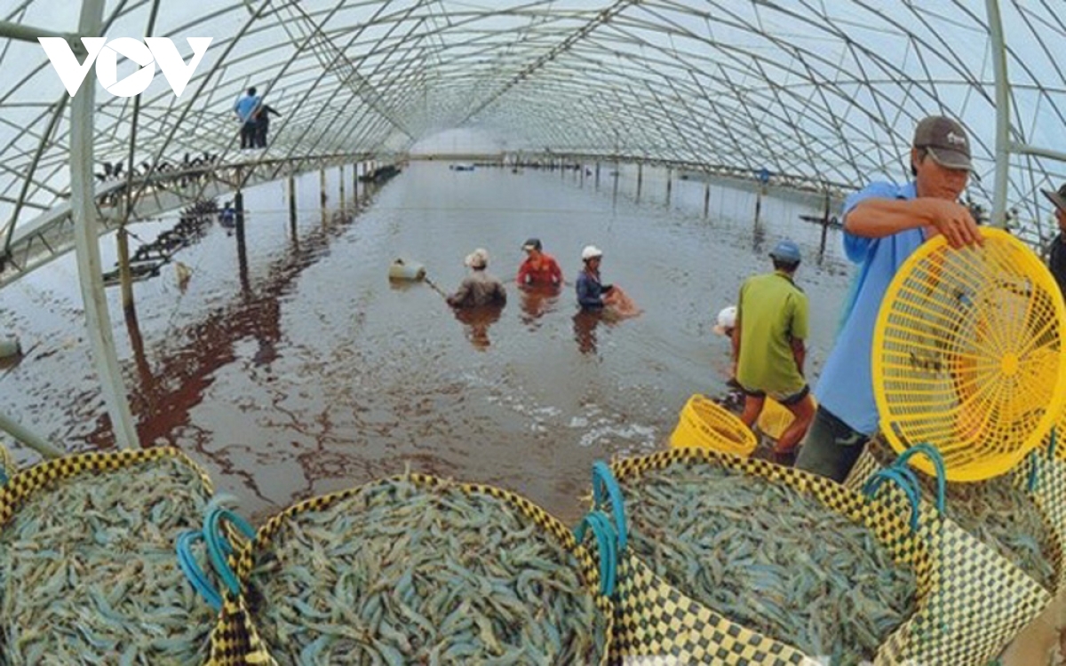 Đến năm 2030, sản lượng nuôi trồng thủy sản đạt 7,0 triệu tấn năm