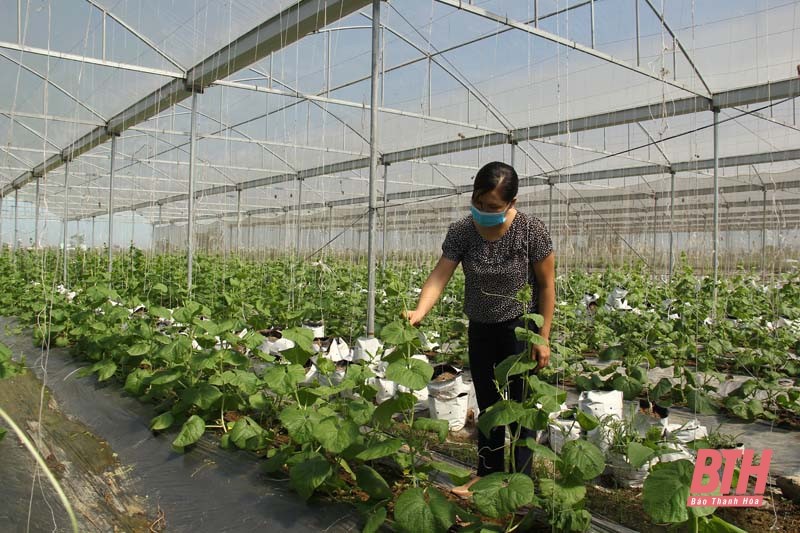 Hoằng Thắng hiện thực hóa Nghị quyết vào cuộc sống