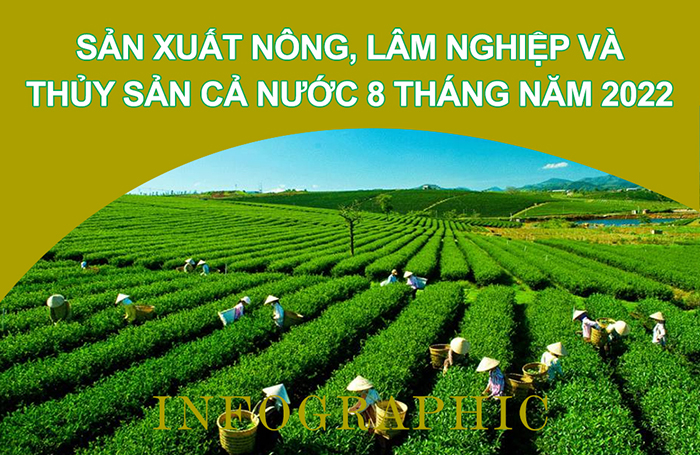 Infographic Sản xuất nông, lâm nghiệp và thủy sản cả nước 8 tháng năm 2022