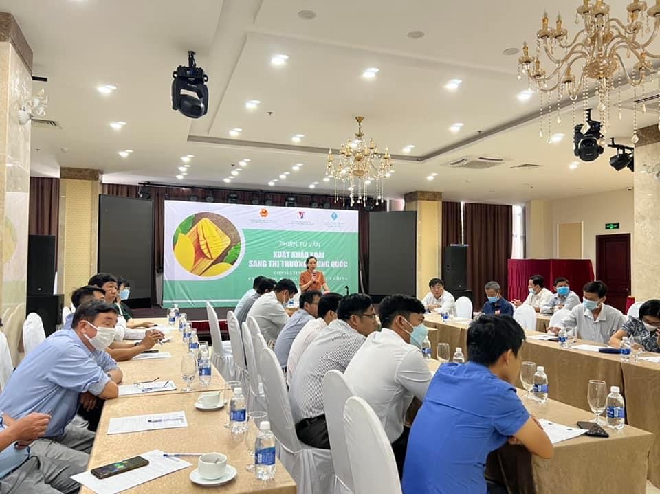 Tư vấn xuất khẩu xoài sang thị trường Trung Quốc