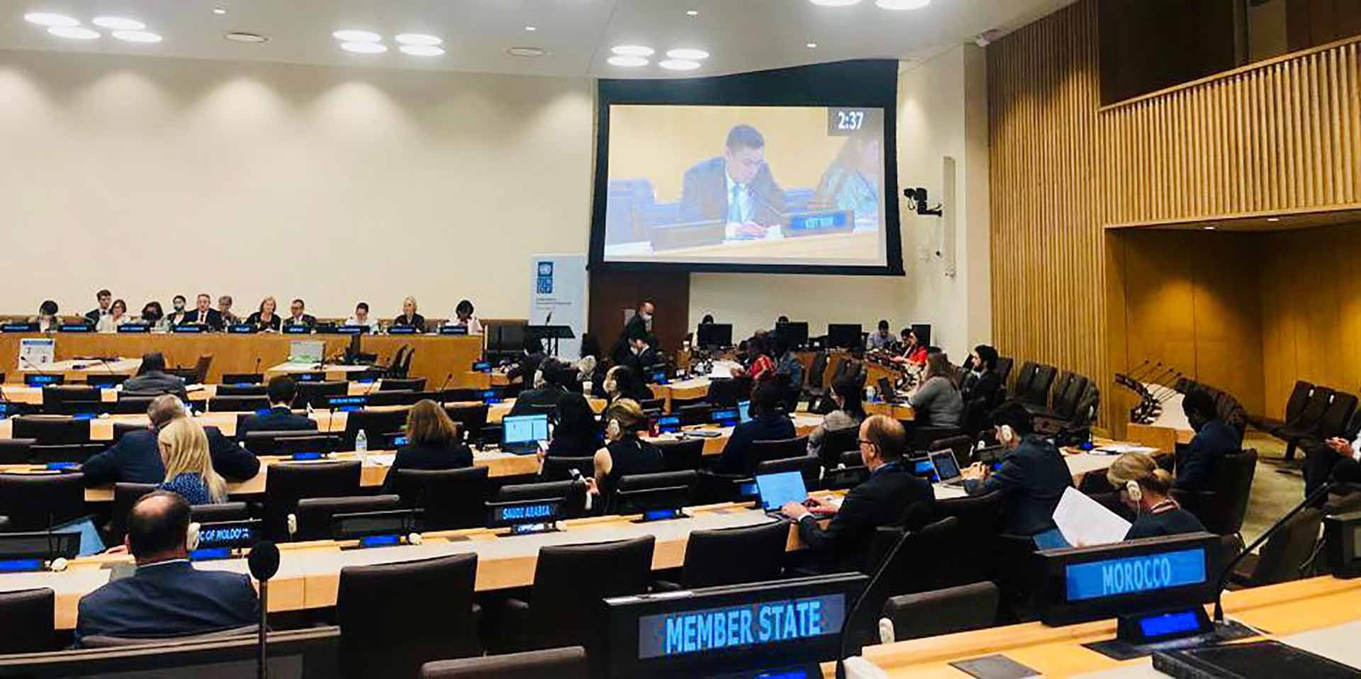Việt Nam sẽ tiếp tục đóng góp tích cực vào hoạt động của UNDP