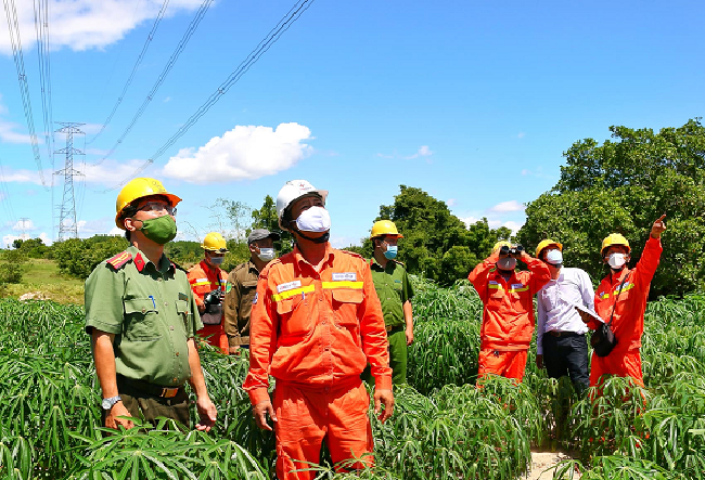EVN đảm bảo vận hành an toàn hệ thống điện dịp Lễ Quốc khánh 2022