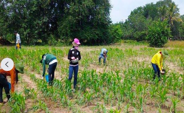 Bình Thuận Nâng cao đời sống vùng đồng bào dân tộc thiểu số và miền núi