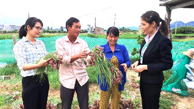 Truyền tải kịp thời vốn tín dụng chính sách xã hội nơi đầy nắng gió Ninh Thuận