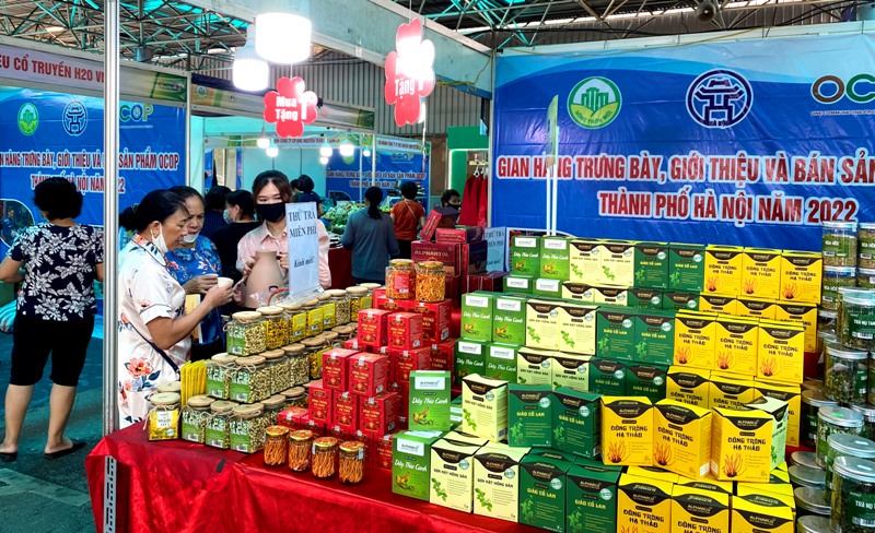 Hà Nội hỗ trợ chủ thể OCOP xúc tiến thương mại trên nền tảng Tik tok