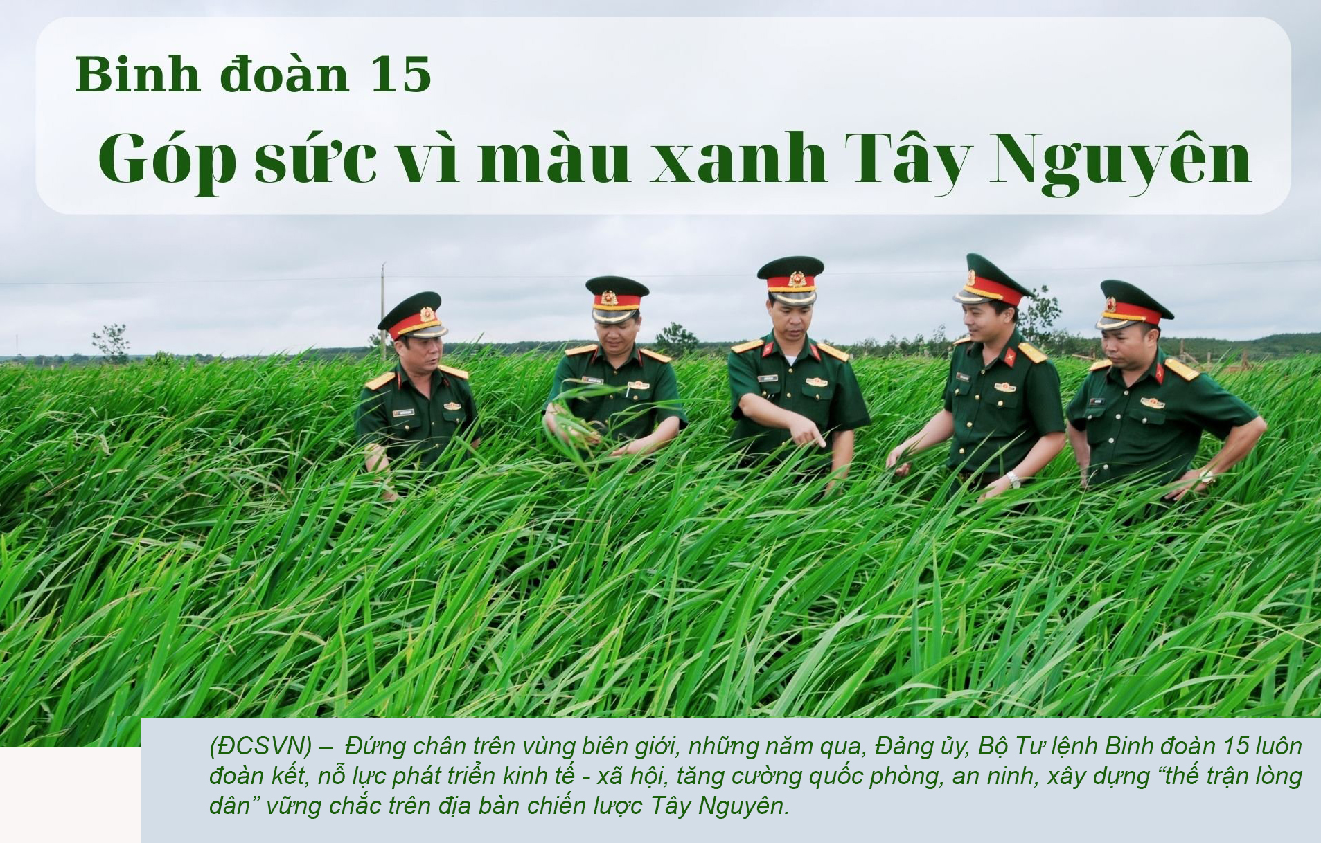 Binh đoàn 15 góp sức vì màu xanh Tây Nguyên