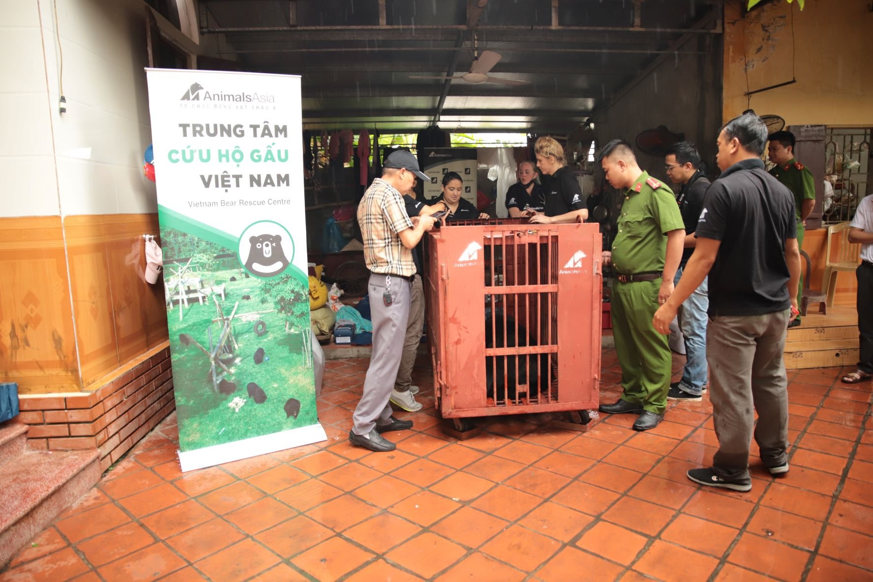Cứu hộ một cá thể gấu đã được nuôi nhốt từ năm 2005 tại tỉnh Nam Định