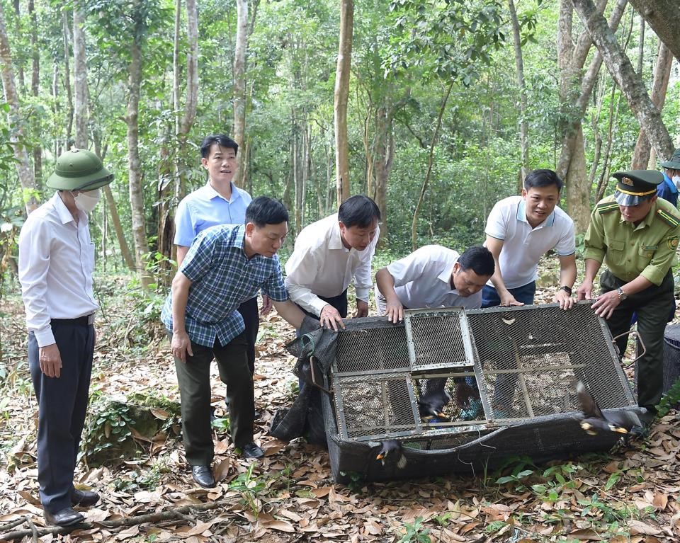 Chi cục Kiểm lâm Hà Nội Nỗ lực bảo vệ động vật hoang dã
