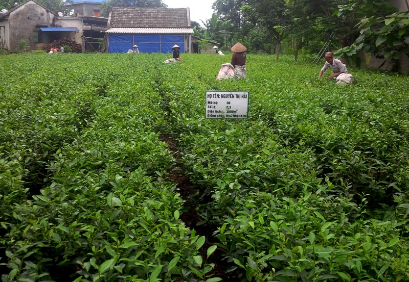 Ngân hàng Thế giới chia sẻ kinh nghiệm về chính sách xã hội tại Việt Nam