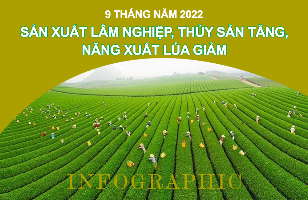 Sản xuất lâm nghiệp, thủy sản tăng, năng xuất lúa giảm