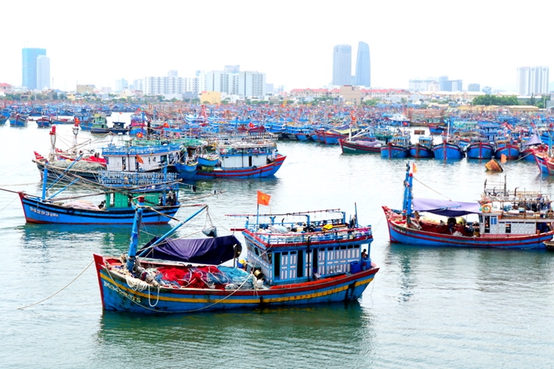 Tháo gỡ thẻ vàng còn khó khăn do hệ thống cảng cá còn hạn chế