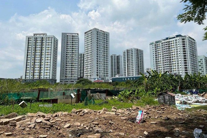 Chủ tịch TP Hà Nội yêu cầu bàn giao 7 lô đất bỏ hoang ở Hoàng Mai để xây trường học