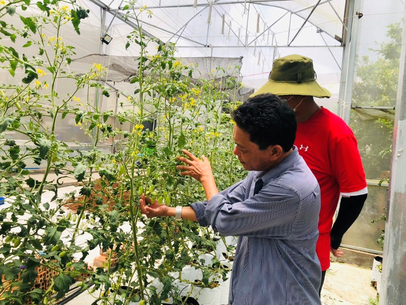 Bà Rịa-Vũng Tàu Quỹ Hỗ trợ nông dân giúp nhiều nông dân thoát nghèo