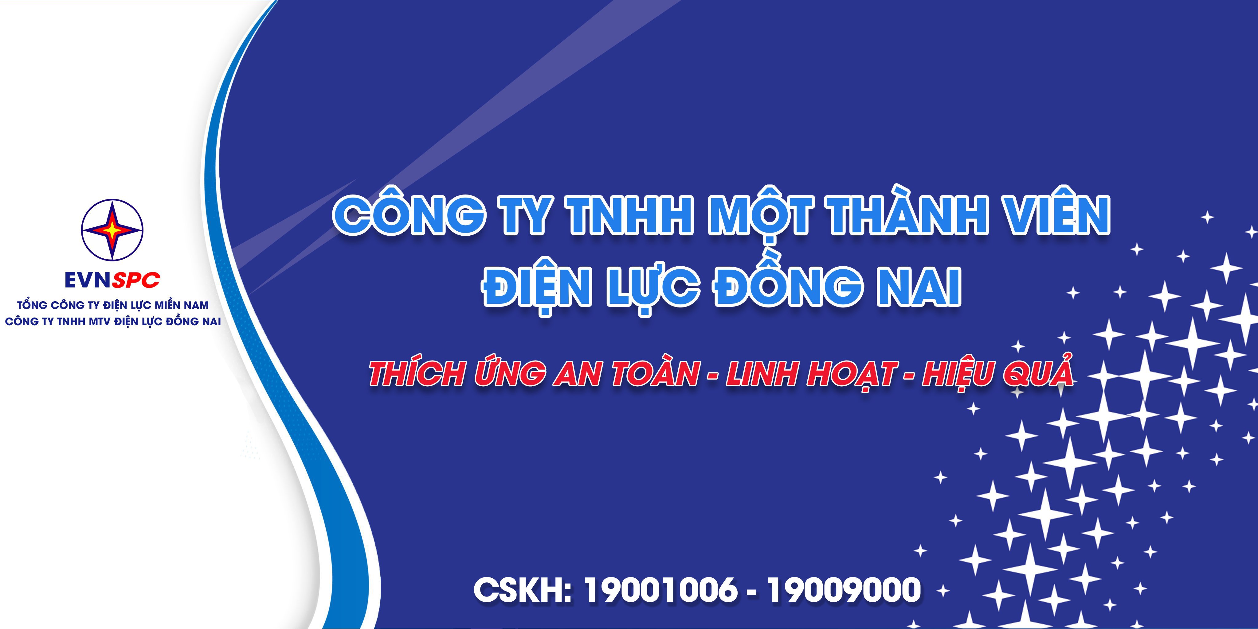 Công ty TNHH Một Thành Viên Điện lực Đồng Nai
