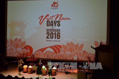 Biểu diễn nghệ thuật kỷ niệm 50 năm quan hệ ngoại giao Việt Nam - Đan Mạch