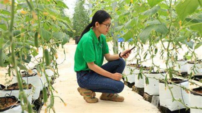 Bài 2 Cần khắc phục nhanh và ngay một số tồn tại trong chuyển đổi số hợp tác xã