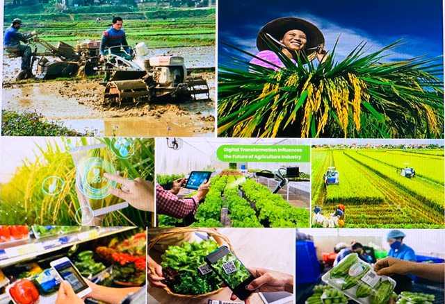 Lan tỏa hình mẫu người nông dân mới – nông dân chuyên nghiệp