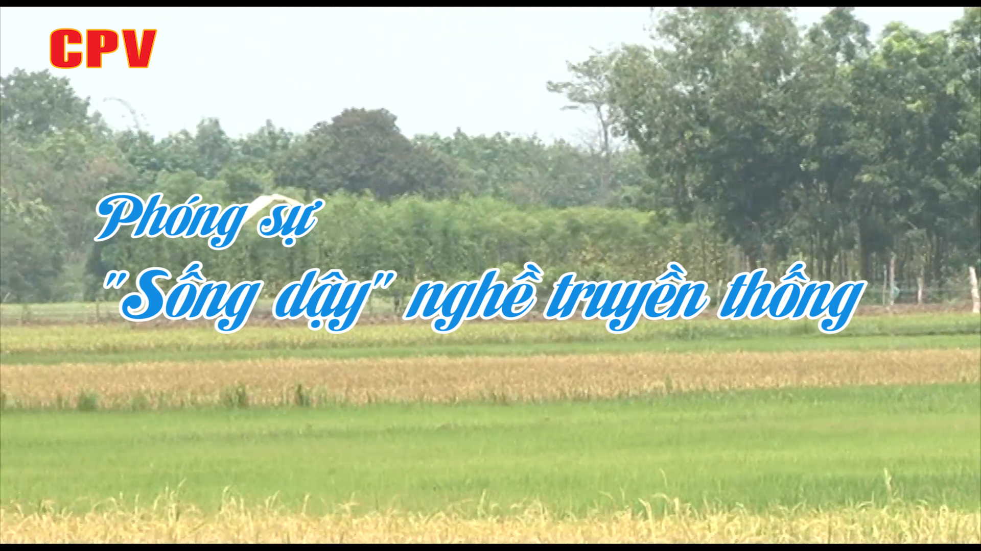 Người Khmer bảo tồn và phát huy nghề truyền thống của dân tộc