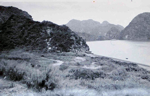 Khai quật khảo cổ tại di tích Cái Bèo thành phố Hải Phòng