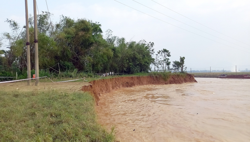 Quảng Nam Cần khẩn trương xử lý sự cố sạt lở bờ sông Quảng Huế