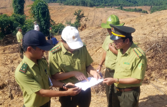 Chi cục trưởng Kiểm lâm tỉnh Quảng Trị bị cách chức