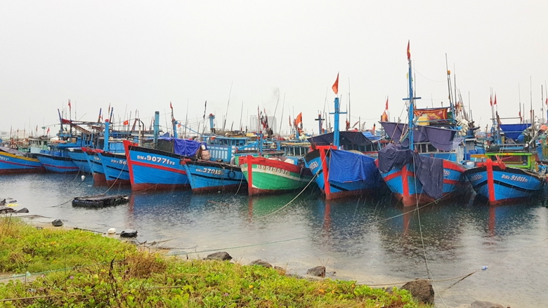 Đã thông báo cho 38 574 tàu biết hướng đi của áp thấp nhiệt đới