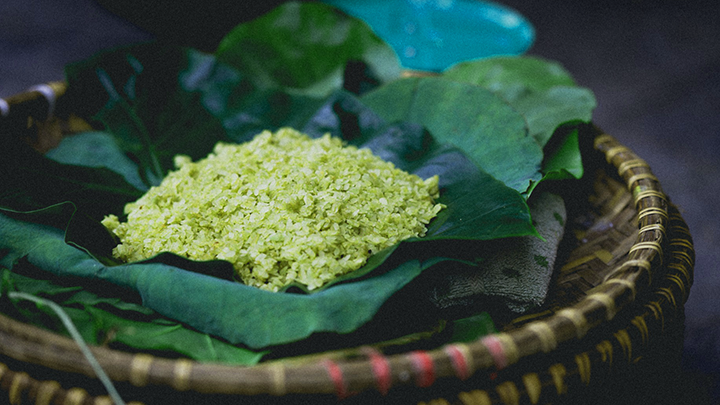 Mùa cốm xanh về, thơm bàn tay nhỏ…