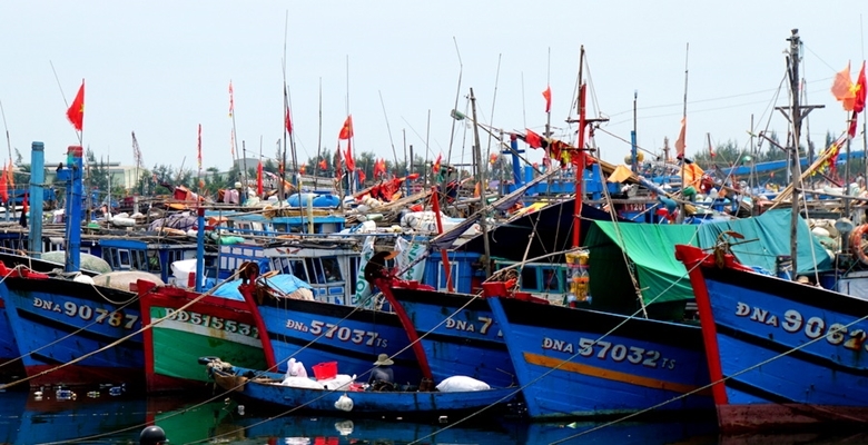 Theo dõi, kiểm đếm tàu, thuyền đang hoạt động trong khu vực ảnh hưởng của bão NALGAE