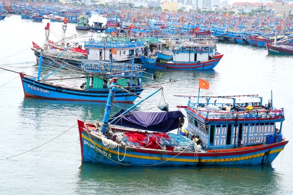 Tiếp tục theo dõi chặt chẽ diễn biến của bão NALGAE