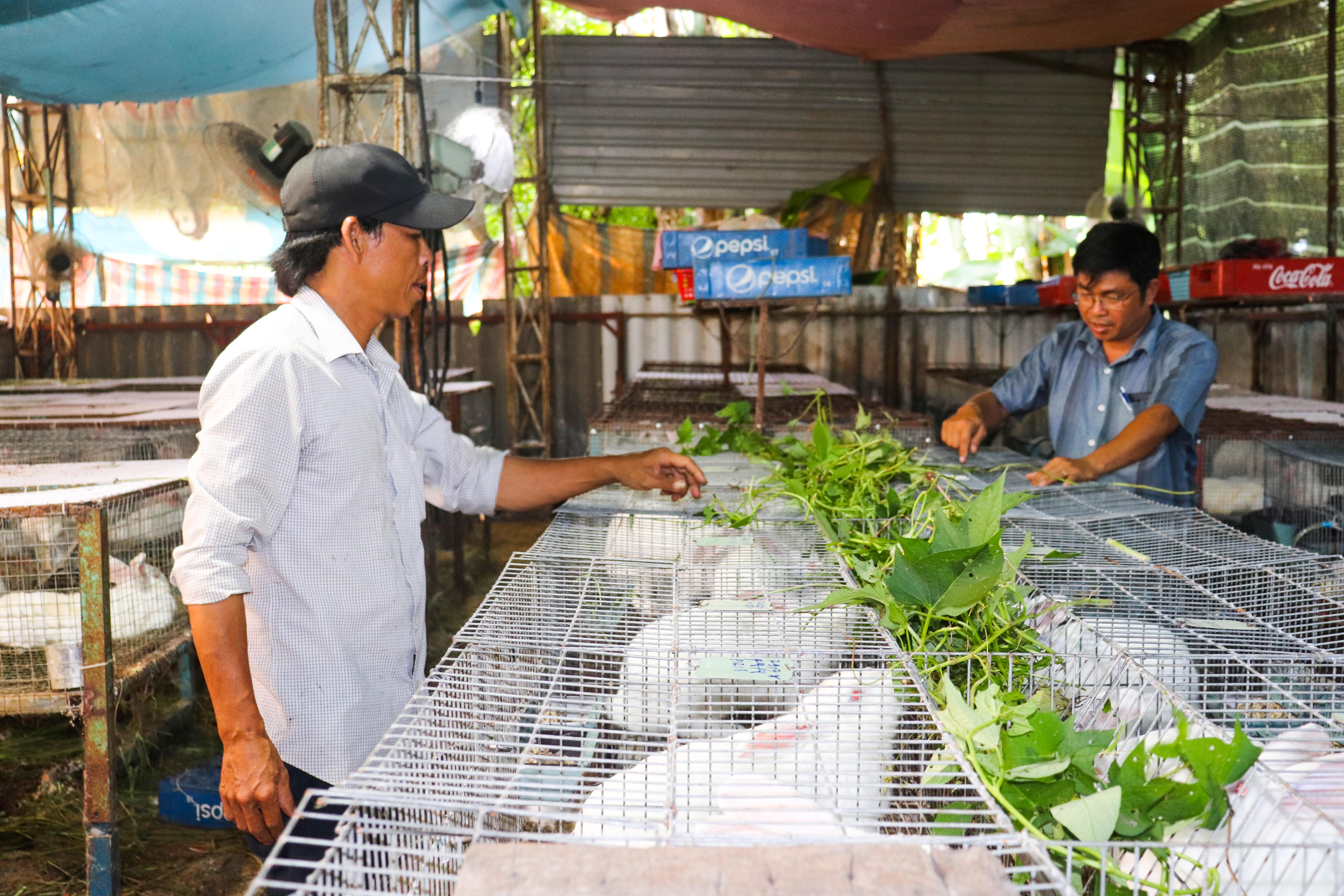 Bà Rịa- Vũng Tàu Các ngành kinh tế đều tăng trưởng khá