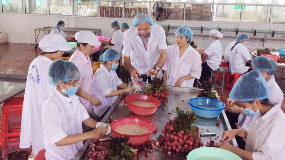 Ứng dụng chuyển đổi số trong tiêu thụ vải thiều Bắc Giang