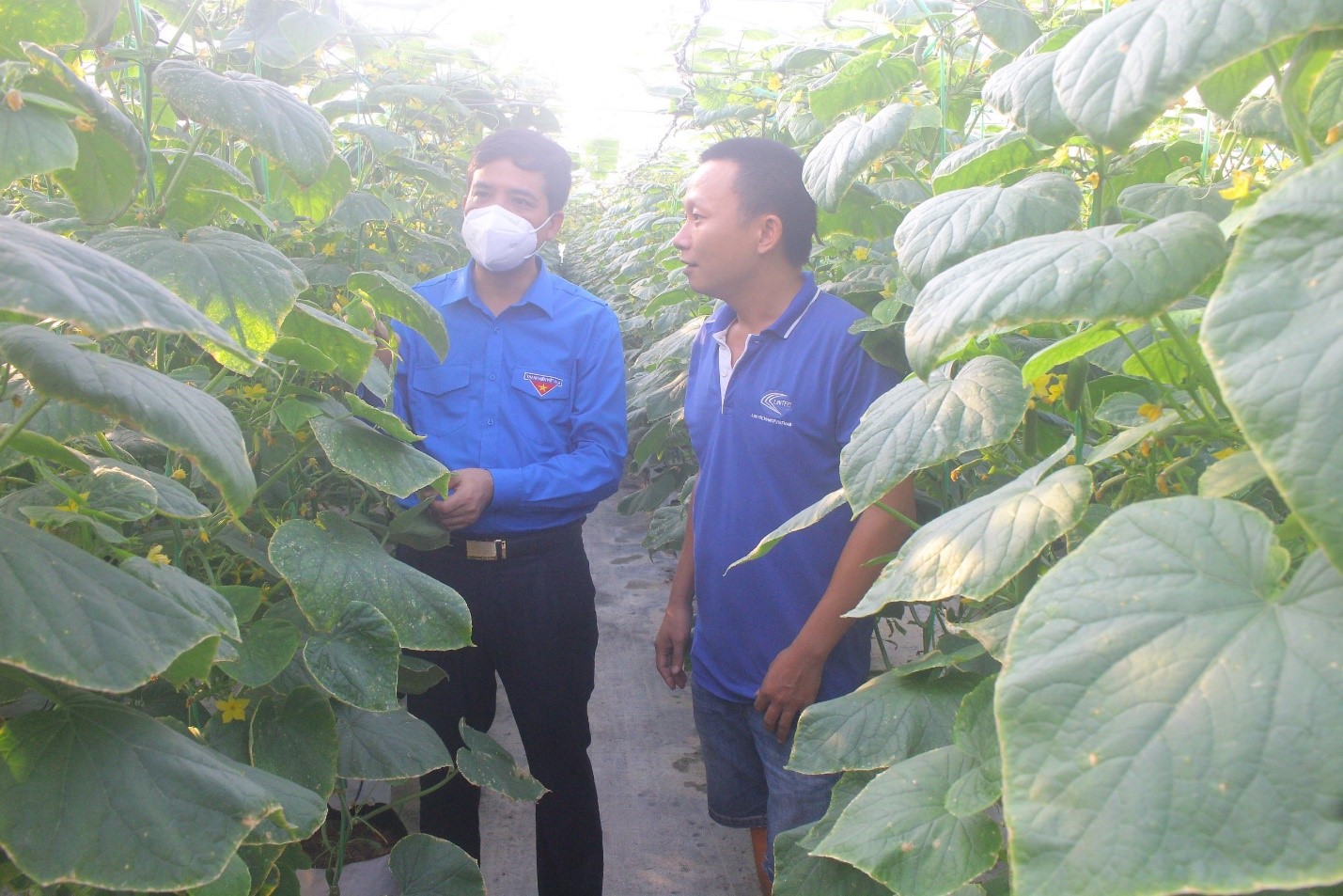 Tỉnh đoàn Bắc Ninh triển khai hiệu quả Chương trình cho vay đối với thanh niên khởi nghiệp