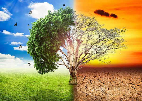 COP 27 Xây dựng khả năng phục hồi vì một châu Á an toàn, bền vững