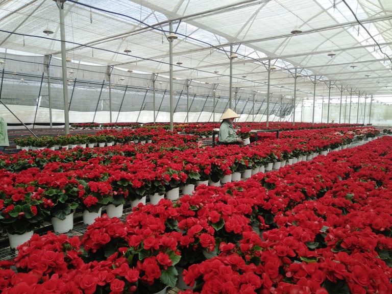 “Sẵn lòng thay đổi, chủ động thay đổi” để tạo chuyển biến mạnh mẽ cho nông nghiệp