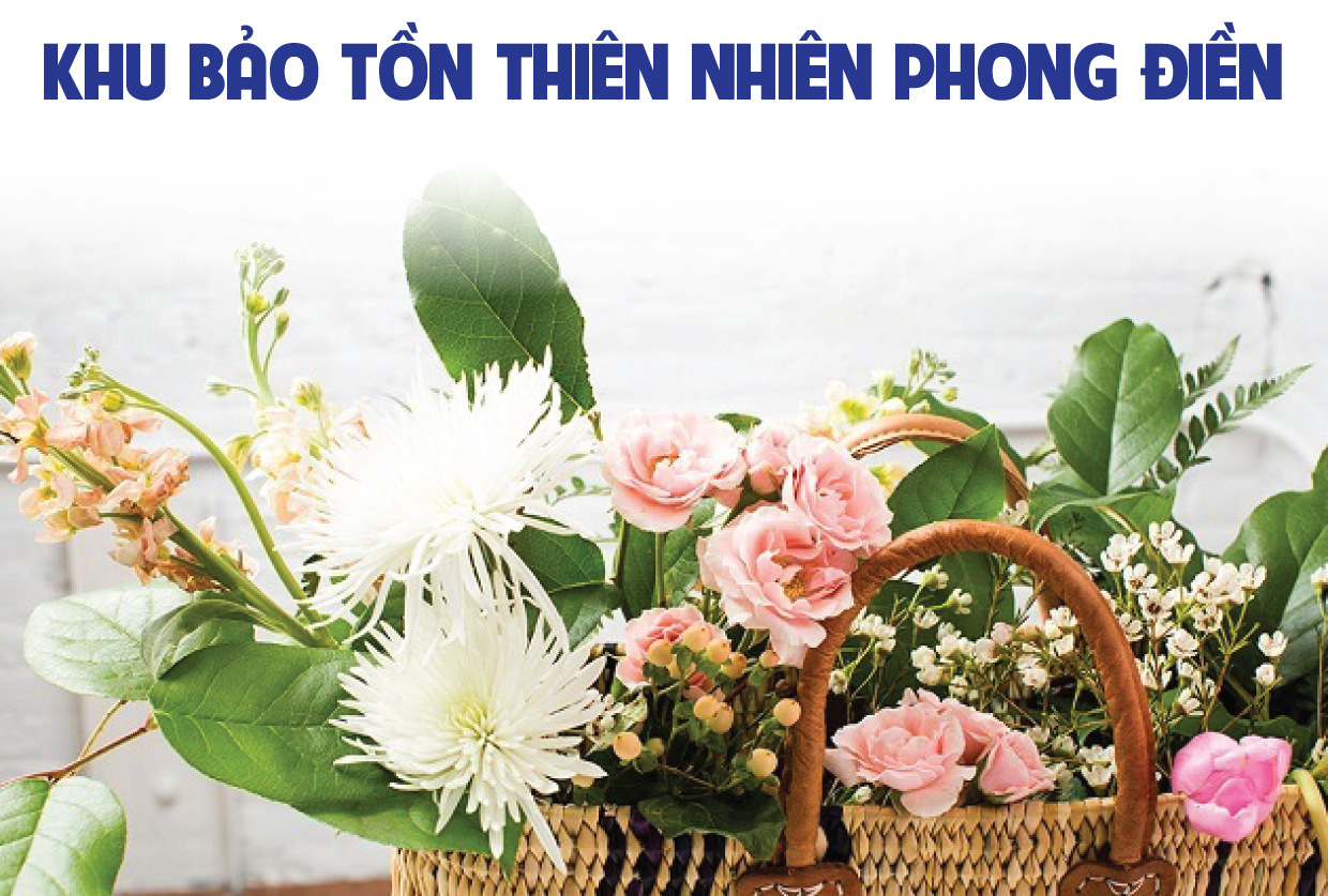 Khu Bảo tồn Thiên nhiên Phong Điền