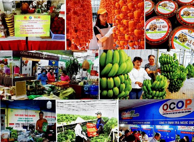 Bài 1 Lâm Đồng triển khai chương trình thăng hạng sản phẩm OCOP