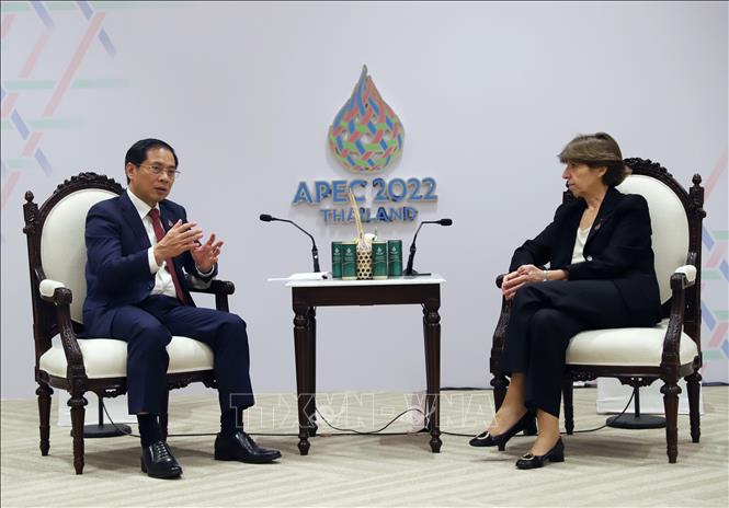Bộ trưởng Ngoại giao Bùi Thanh Sơn tiếp xúc song phương tại Tuần lễ cấp cao APEC 2022