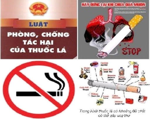 Quảng Ninh Nâng cao trách nhiệm người đứng đầu trong tổ chức thực hiện Luật Phòng, chống tác hại của thuốc lá