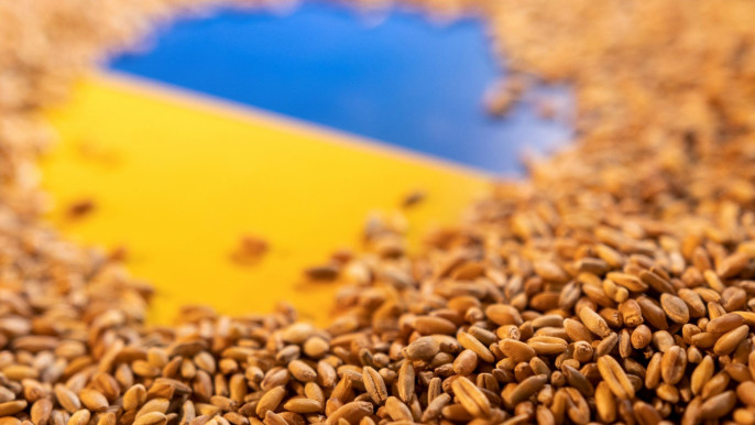Xuất khẩu ngũ cốc Ukraine giảm gần 32