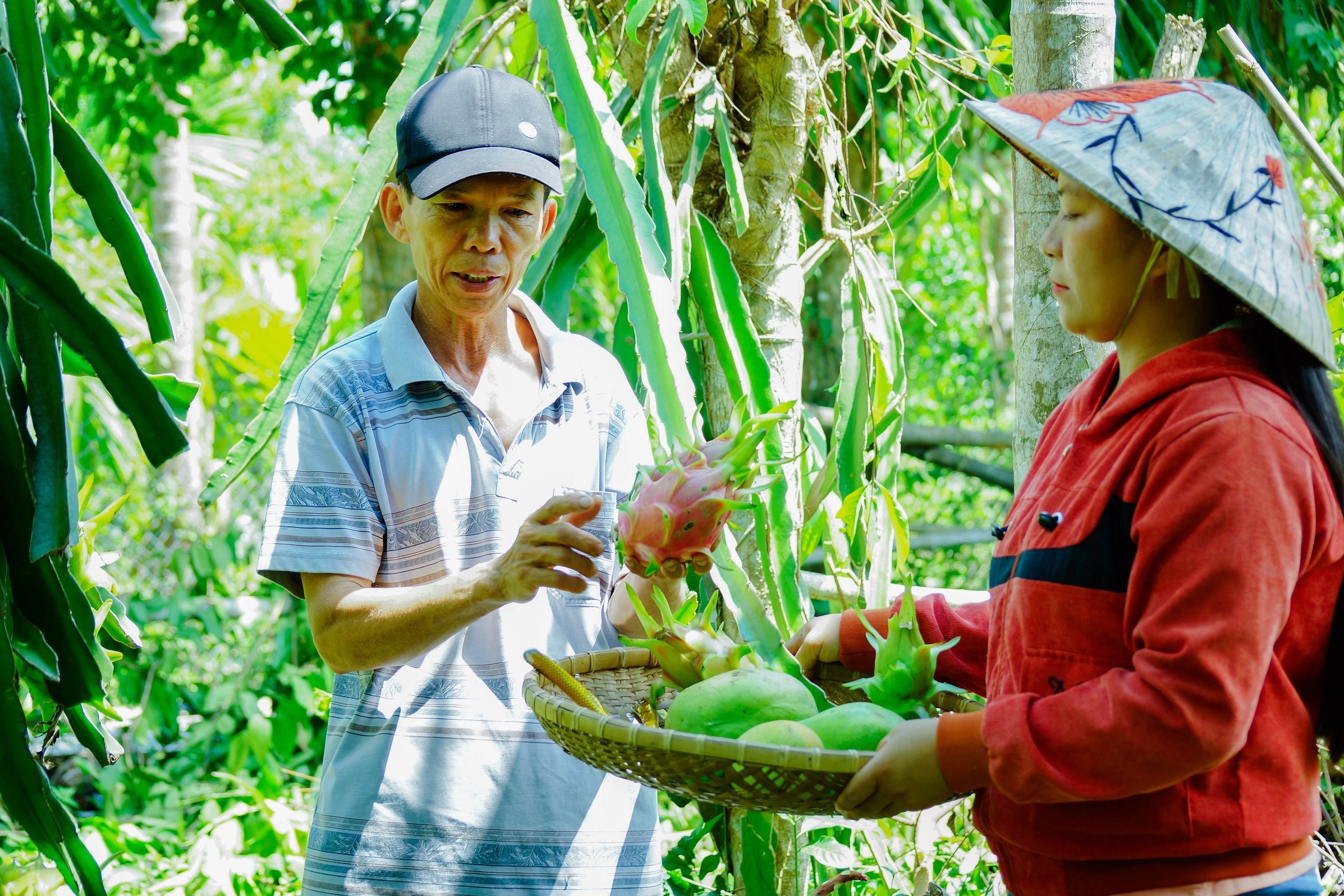 Quảng Nam Hiệu quả từ nguồn vốn tín dụng chính sách xã hội
