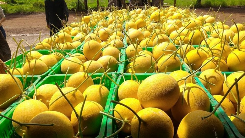 Phát triển thị trường tiêu thụ sản phẩm nông nghiệp hữu cơ