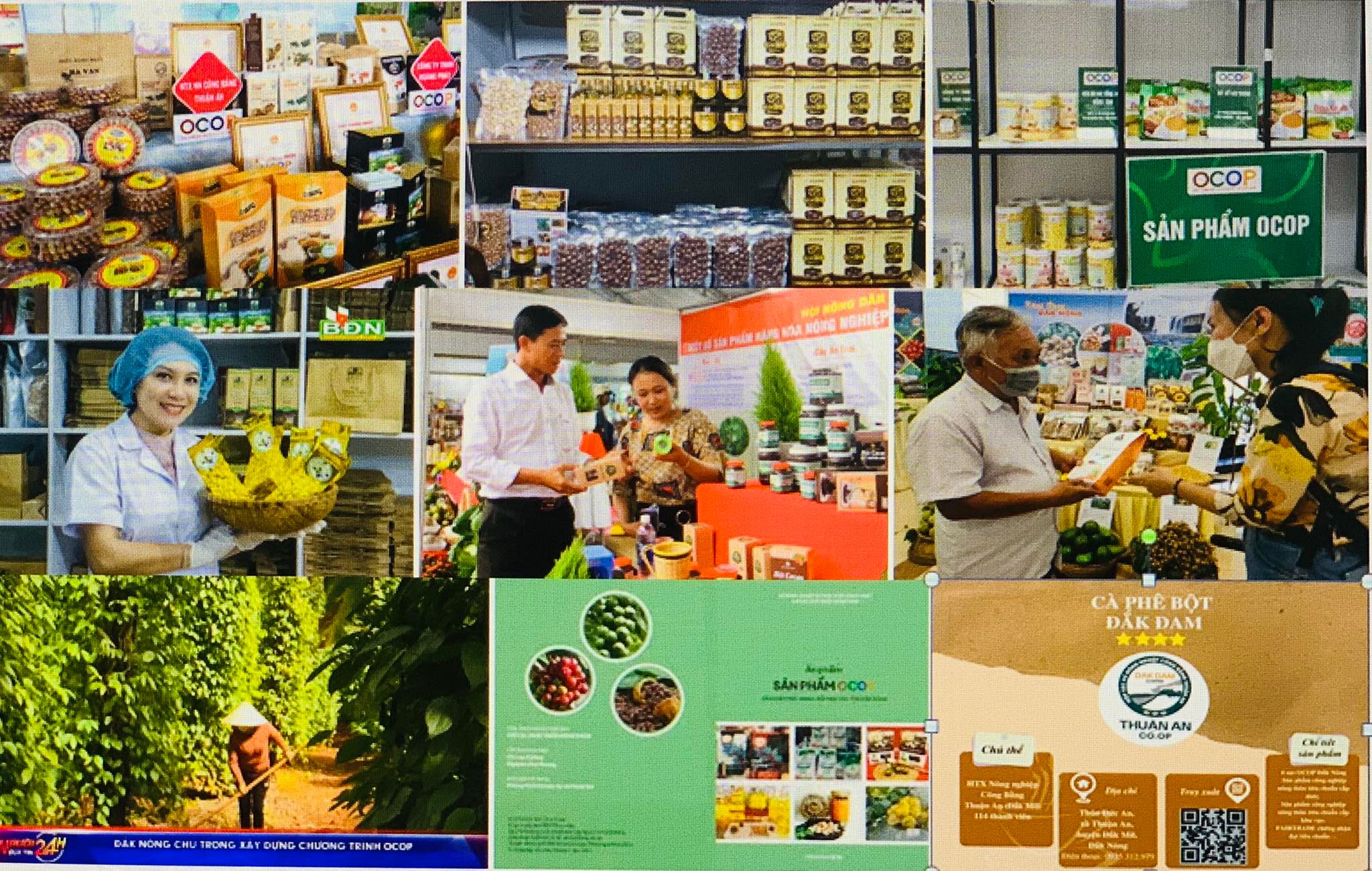 Bài 2 Đăk Nông gắn phát triển OCOP với du lịch trải nghiệm