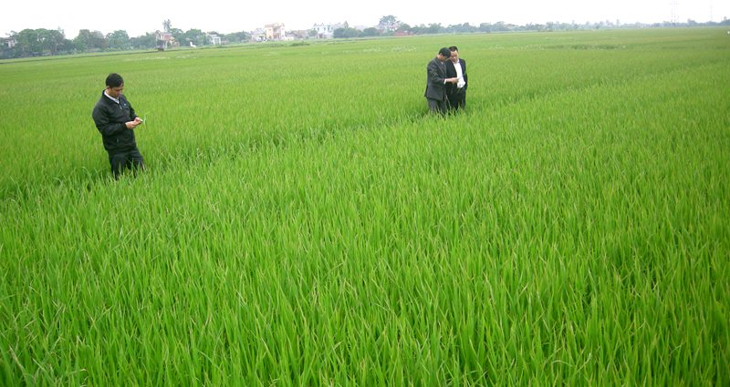 Báo chí tích cực đồng hành cùng kinh tế tập thể