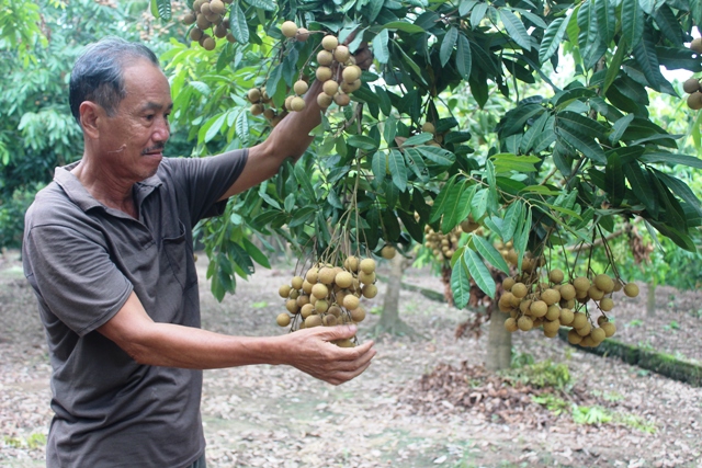 Công bố hoàn thành mở cửa thị trường nông sản sang một số nước