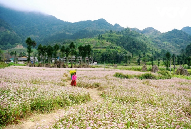 Hà Giang cảnh báo lừa đảo khi thuê phòng ở Đồng Văn