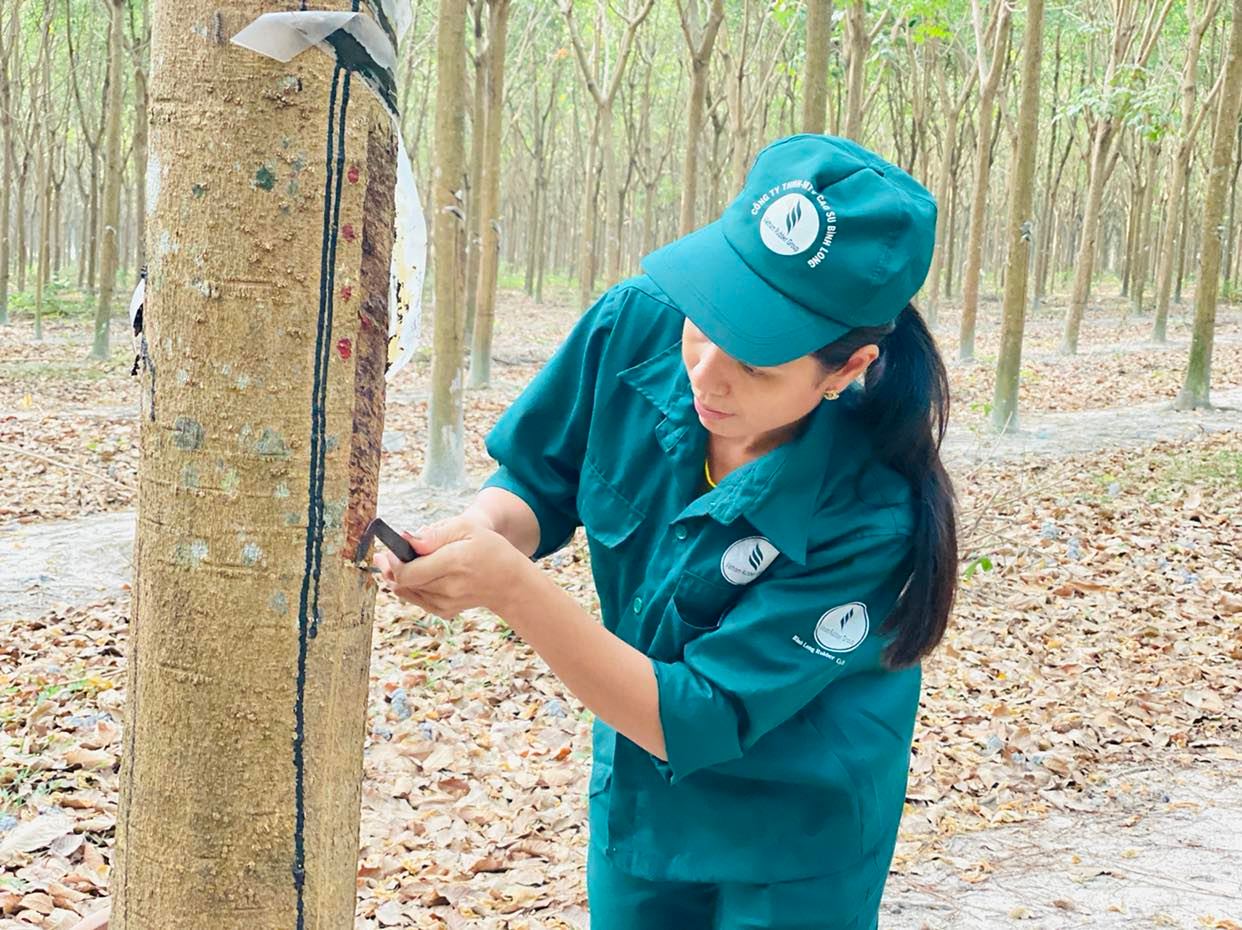 Tập đoàn Công nghiệp Cao su Việt Nam nỗ lực vượt qua khó khăn để phát triển