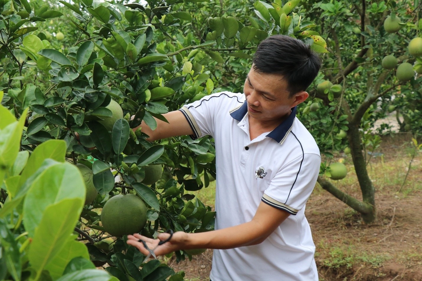Chàng thanh niên mạnh dạn mở hướng đi với nông nghiệp công nghệ cao